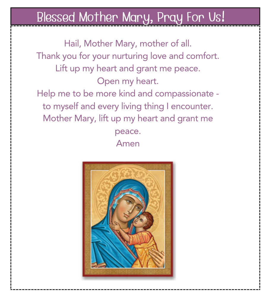 Screenshot 2025 02 06 at 12